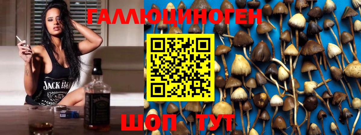 Псилоцибиновые грибы Magic Shrooms  Псилоцибиновые грибы прущие грибы  Магадан  Вход с VPN 
